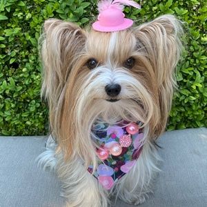 Meet your Posher, Melodi